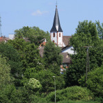 Dettingen 1