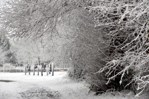 Mainweg im Schnee, Großwelzheim