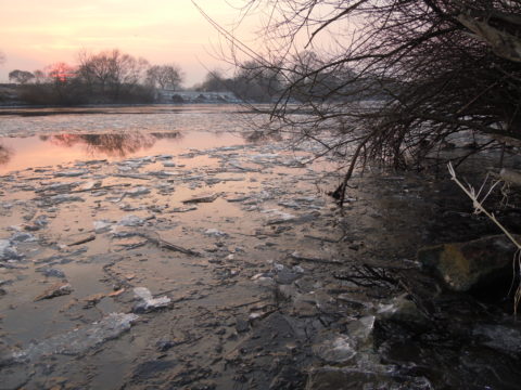 Main, Eiswinter, Höhe Dettingen